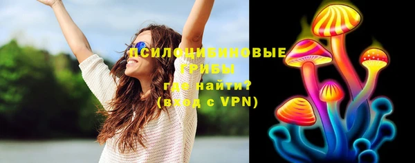 прущая мука Нея
