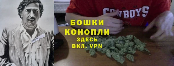 прущая мука Нея