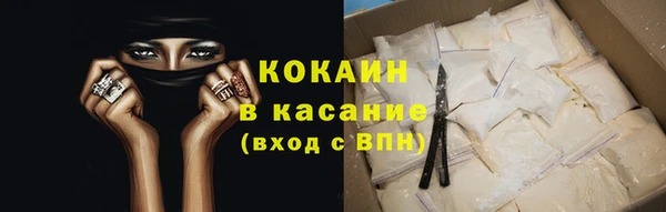 гашик Новодвинск