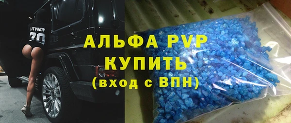 гашик Новодвинск