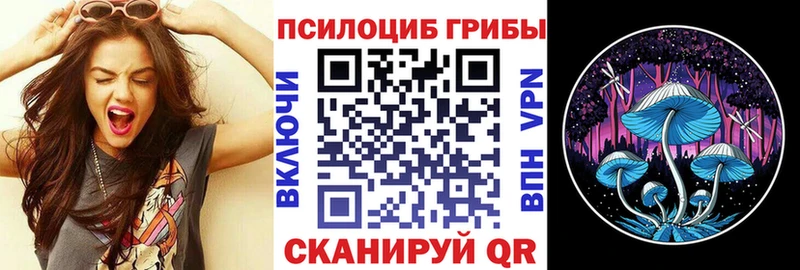 Псилоцибиновые грибы Psilocybine cubensis  Заполярный 
